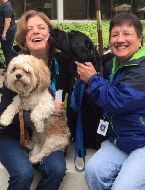 (Pictured left to right: Service Dog, Anada and Clove with their humans, Senior Director of Peer Wellness, Meghan Caughey and Senior Director of Equity, Diversity and Inclusion, Sandra Wilborn. 